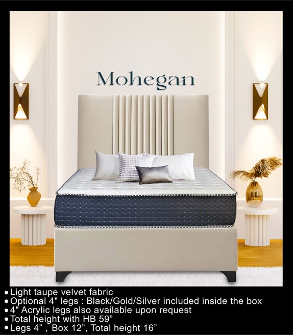 Mohegan Bed